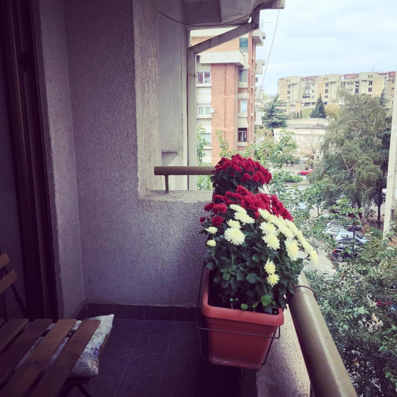 3 Bedroom Home With Parking Garage In The Heart Of Skopje Exteriér fotografie